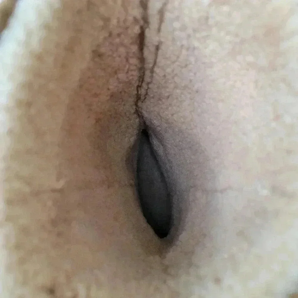 UGG Australia Sand Ulta Boots - 9 - Picture 9 of 11